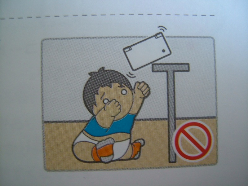 Illustration for article titled Hey Dummy, Don't Microwave The DSi (And Other Nintendo Tips)